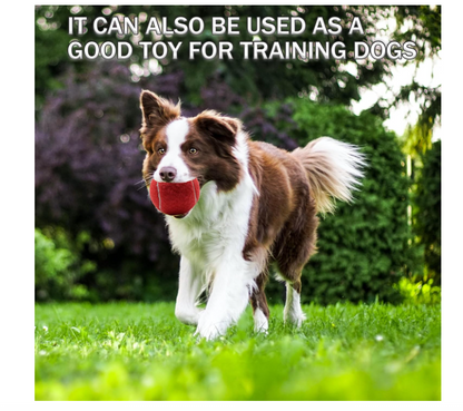 SpinForge® 20 Pack Training Tennis Balls